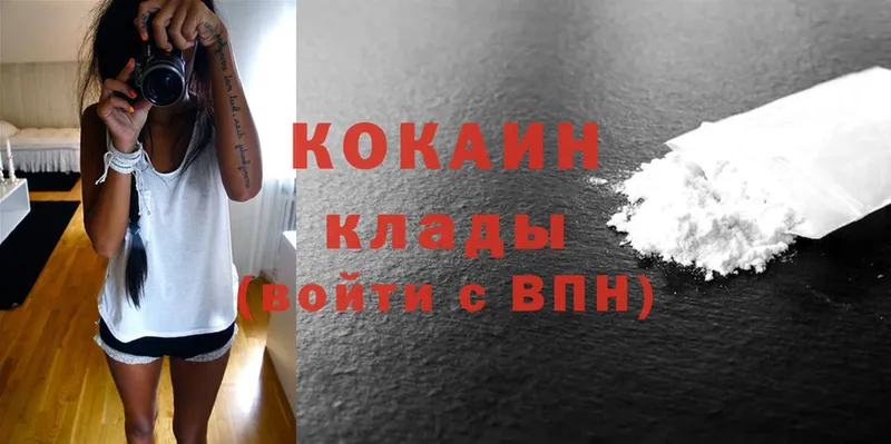 COCAIN Fish Scale  где купить наркотик  Рыльск 